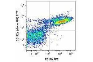 Flow Cytometry (FACS) image for anti-Signal-Regulatory Protein alpha (SIRPA) antibody (FITC) (ABIN2661534) (SIRPA antibody  (FITC))