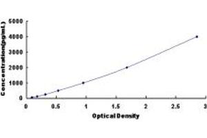 Typical standard curve (THRA ELISA Kit)