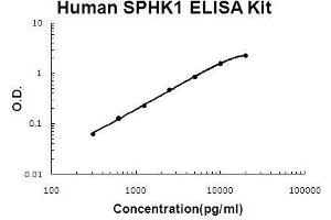Human SPHK1 PicoKine ELISA Kit standard curve (SPHK1 ELISA Kit)