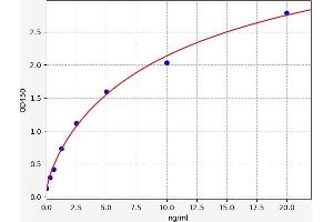 TLR5 ELISA Kit