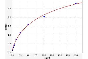 Typical standard curve (TLR5 ELISA Kit)