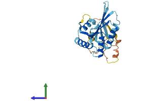 Protein Structure (PS) image for Apolipoprotein B mRNA Editing Enzyme, Catalytic Polypeptide-Like 2 (APOBEC2) (AA 1-224) protein (His tag) (ABIN7551920)