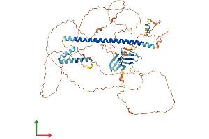 AlphaFold protein structure predicition of Mouse Recombinant Lmntd2 Protein, UniprotID Q0VET5 (C11orf35 Protein (AA 1-664) (His tag))