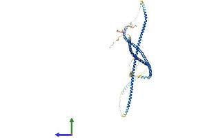 AlphaFold protein structure predicition of Human Recombinant CCHCR1 Protein, UniprotID Q8TD31