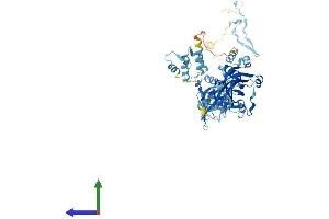 AlphaFold protein structure predicition of Mouse Recombinant Efhc1 Protein, UniprotID Q9D9T8