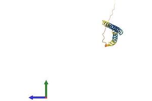 Protein Structure (PS) image for Transcription Elongation Factor A (SII)-Like 7 (TCEAL7) (AA 1-100) protein (His tag) (ABIN7544270)