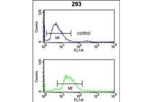 LRG1 Antibody (Center) (ABIN390660 and ABIN2840956) flow cytometry analysis of 293 cells (bottom histogram) compared to a negative control cell (top histogram). (LRG1 antibody  (AA 194-223))