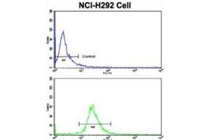 Flow Cytometry (FACS) image for anti-Kinesin Family Member 3C (KIF3C) antibody (ABIN3003233) (KIF3C antibody)