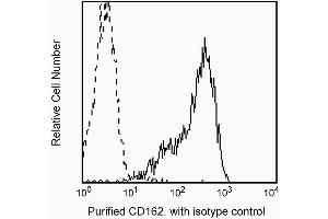 Profile of CD162 expressed on peripheral blood lymphocytes analyzed on a FACScan (BDIS, San Jose, CA) (SELPLG antibody)