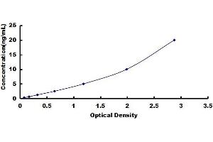 Natriuretic Peptides B (NPPB) ELISA Kit
