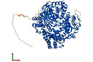 Protein Structure (PS) image for Insulin-Degrading Enzyme (IDE) (AA 1-1019) protein (His tag) (ABIN7554135)