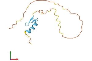 Protein Structure (PS) image for Zinc Finger Protein 861, Pseudogene (ZNF861P) (AA 1-105) protein (His tag) (ABIN7545505)