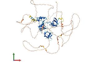 Protein Structure (PS) image for SH3 Domain Containing Ring Finger 2 (SH3RF2) (AA 1-735) protein (His tag) (ABIN7559055)