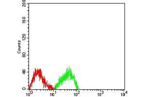 Flow cytometric analysis of SW480 cells using MUC2 mouse mAb (green) and negative control (red). (MUC2 antibody  (AA 4373-4557))
