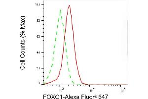Flow cytometric analysis of FOXO1 expression in HepG2 cells using FOXO1 antibody (ABIN7798643), 1:2,000). (Recombinant FOXO1 antibody)
