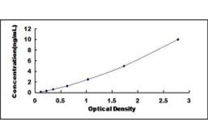 Typical standard curve (SMN2 ELISA Kit)