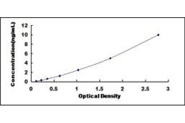 SMN2 ELISA Kit