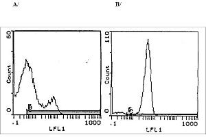 Cell Source: A/Thymocytes, B/Splenic T Cells Percentage of Cells Stained Above Control: A/50. (CD3 antibody  (Biotin))