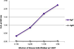 ELISA plate was coated with purified chicken IgY and IgM. (Mouse anti-Chicken IgY Antibody (Biotin))