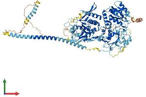 AlphaFold protein structure predicition of Mouse Recombinant Extl3 Protein, UniprotID Q9WVL6 (EXTL3 Protein (AA 1-918) (His tag))