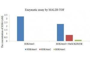 Activity Assay (AcA) image for Lysine (K)-Specific Demethylase 5B (KDM5B) (full length ) protein (DYKDDDDK Tag) (ABIN2669681)