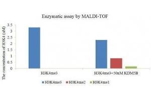 Recombinant JARID1B / KDM5B enzymatic assay. (KDM5B Protein (full length) (DYKDDDDK Tag))