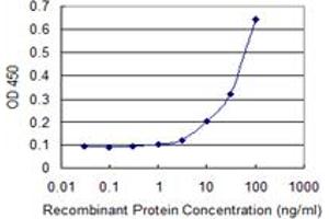 Detection limit for recombinant GST tagged MKNK1 is 1 ng/ml as a capture antibody. (MKNK1 antibody  (AA 1-465))
