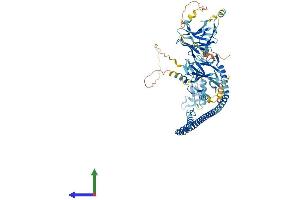 AlphaFold protein structure predicition of Mouse Recombinant Trim36 Protein, UniprotID Q80WG7