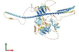 AlphaFold protein structure predicition of Mouse Recombinant Dzip3 Protein, UniprotID Q7TPV2