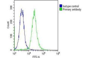 Overlay histogram showing K562 cells stained with (ABIN653363 and ABIN2842839) (green line). (HBa2 antibody  (AA 100-128))