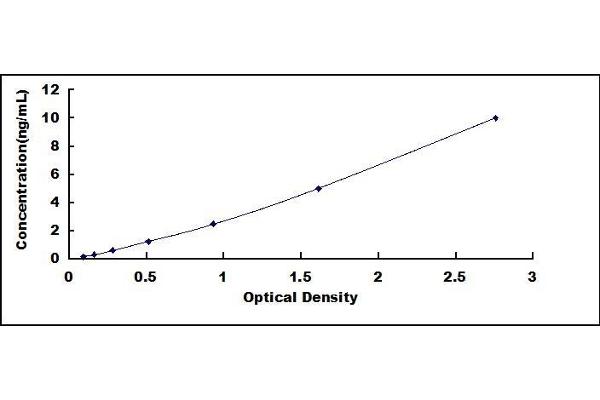 CST4 ELISA Kit
