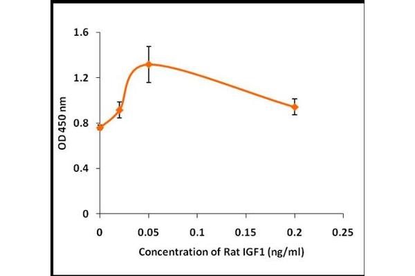 IGF1 Protéine