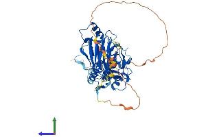 AlphaFold protein structure predicition of Human Recombinant SMAD1 Protein, UniprotID Q15797 (SMAD1 Protein (AA 1-465) (His tag))