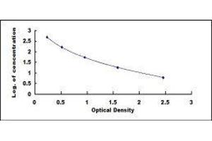 Vasoactive Intestinal Peptide (Vip) ELISA Kit