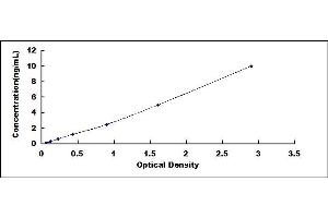 OXSR1 ELISA Kit