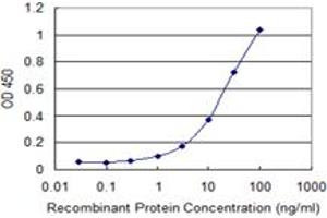 Detection limit for recombinant GST tagged TUFM is 0. (TUFM antibody  (AA 40-455))