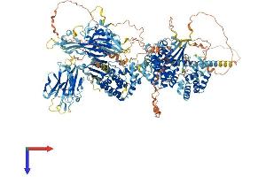 AlphaFold protein structure predicition of Human Recombinant DENND4B Protein, UniprotID O75064 (DENND4B Protein (AA 1-1496) (His tag))