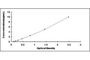 Typical standard curve (COTL1 ELISA Kit)