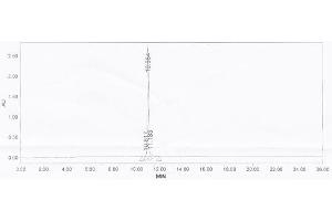 Intrinsic Factor Protein (KLH)