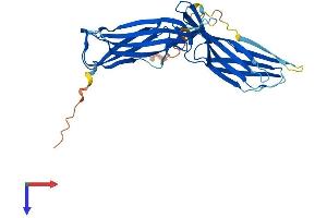 Arrestin Domain Containing 5 (ARRDC5) (AA 1-342) protein (His tag)