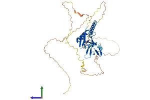 Protein Structure (PS) image for Nuclear Factor of Activated T-Cells, Cytoplasmic, Calcineurin-Dependent 2 Interacting Protein (NFATC2IP) (AA 1-412) protein (His tag) (ABIN7562253)