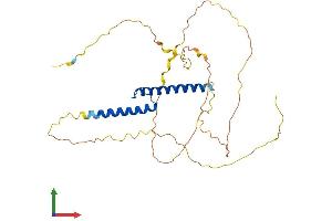 AlphaFold protein structure predicition of Human Recombinant TAL1 Protein, UniprotID P17542 (TAL1 Protein (AA 1-331) (His tag))