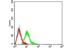 CD57 antibody  (AA 35-191)