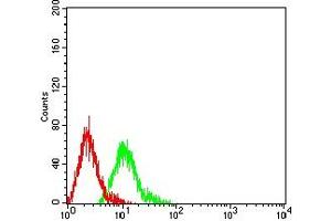 Flow cytometric analysis of HL-60 cells using CD57 mouse mAb (green) and negative control (red). (CD57 antibody  (AA 35-191))