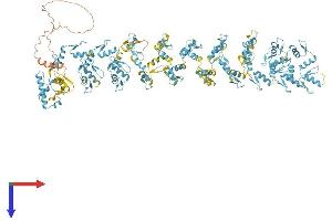 AlphaFold protein structure predicition of Human Recombinant ZNF208 Protein, UniprotID O43345