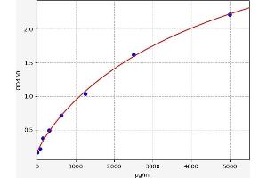 Typical standard curve (Reticulon 4 ELISA Kit)