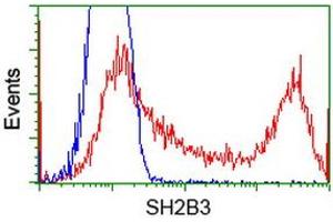 HEK293T cells transfected with either RC218359 overexpress plasmid (Red) or empty vector control plasmid (Blue) were immunostained by anti-SH2B3 antibody (ABIN2454471), and then analyzed by flow cytometry.