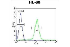 Flow Cytometry (FACS) image for anti-Olfactory Receptor, Family 10, Subfamily J, Member 5 (OR10J5) antibody (ABIN2996119) (OR10J5 antibody)