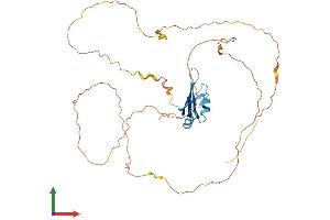 Protein Structure (PS) image for RNA Binding Motif Protein, X-Linked-Like 1 (RBMXL1) (AA 1-390) protein (His tag) (ABIN7551505)