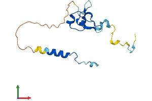 AlphaFold protein structure predicition of Human Recombinant NANOS2 Protein, UniprotID P60321